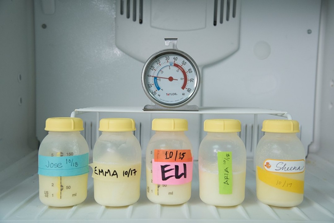 Breast milk stored in bottles inside a freezer